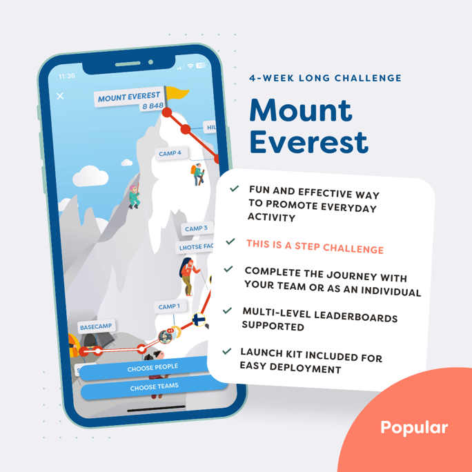 Mount Everest step challenge
